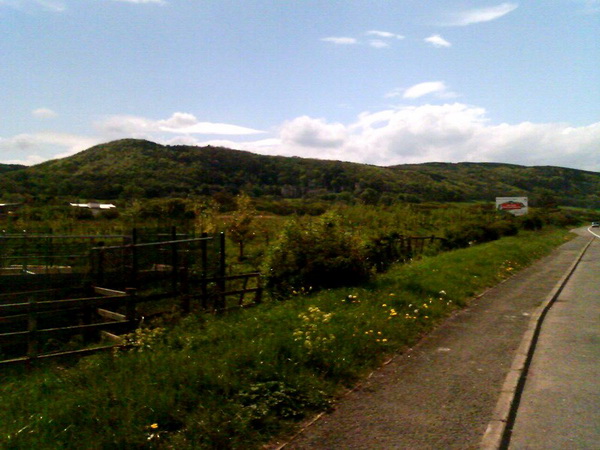 Gwrych Castle